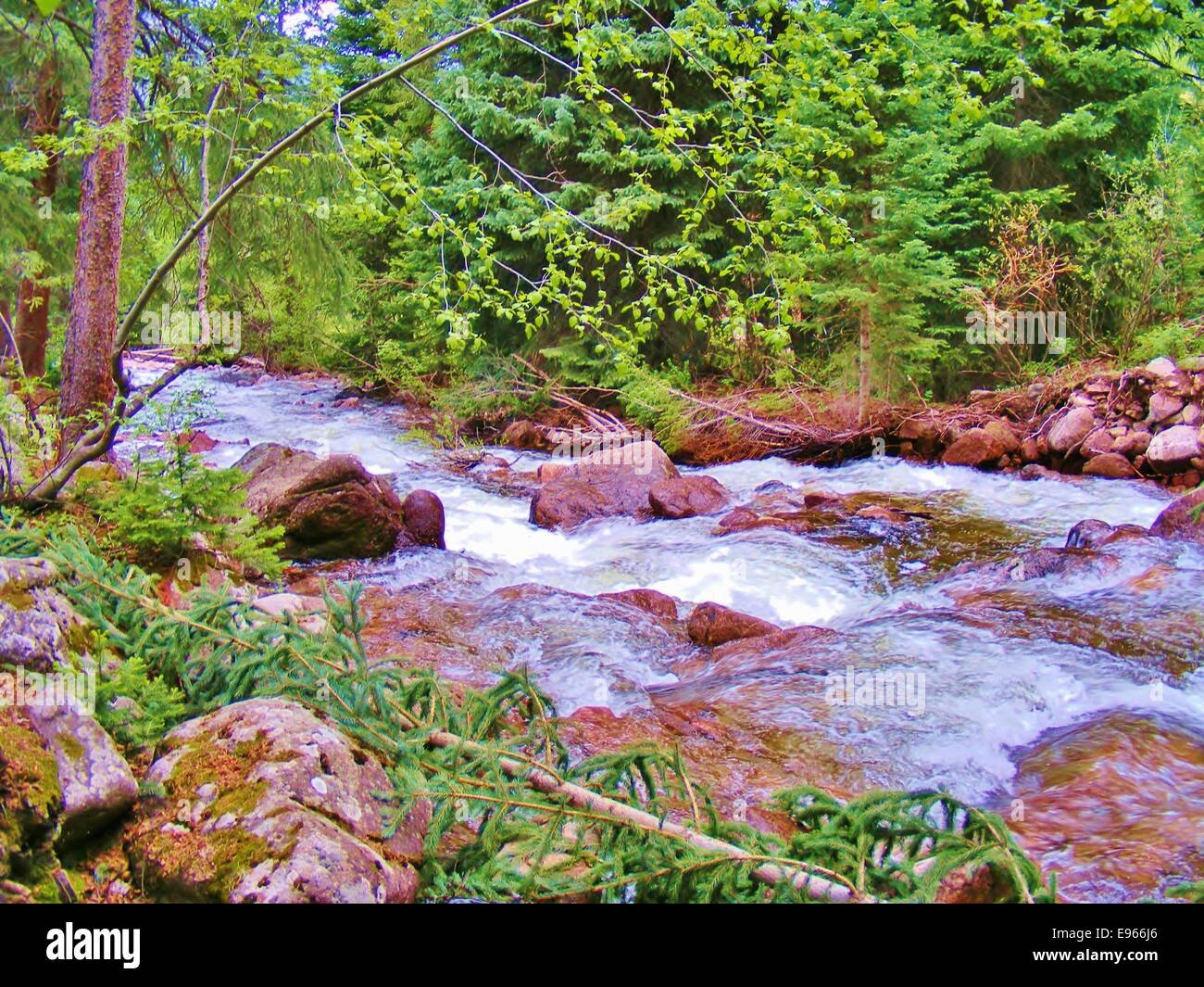 MÄCHTIG RAUSCHENDEN FLUSS IM ZEITIGEN FRÜHJAHR Stockfoto