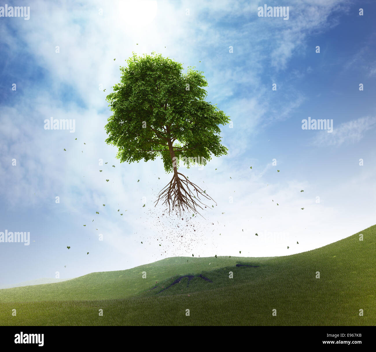 Ein Baum in den Himmel - Konzept der Freiheit wegfliegen Stockfoto