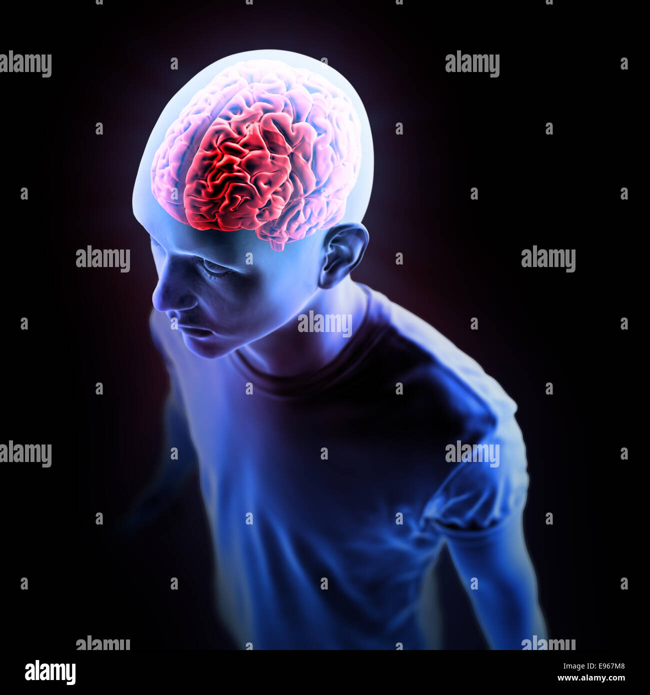Menschliche Anatomie-Illustration - zentrale Nervensystem mit einem sichtbaren Gehirn Stockfoto