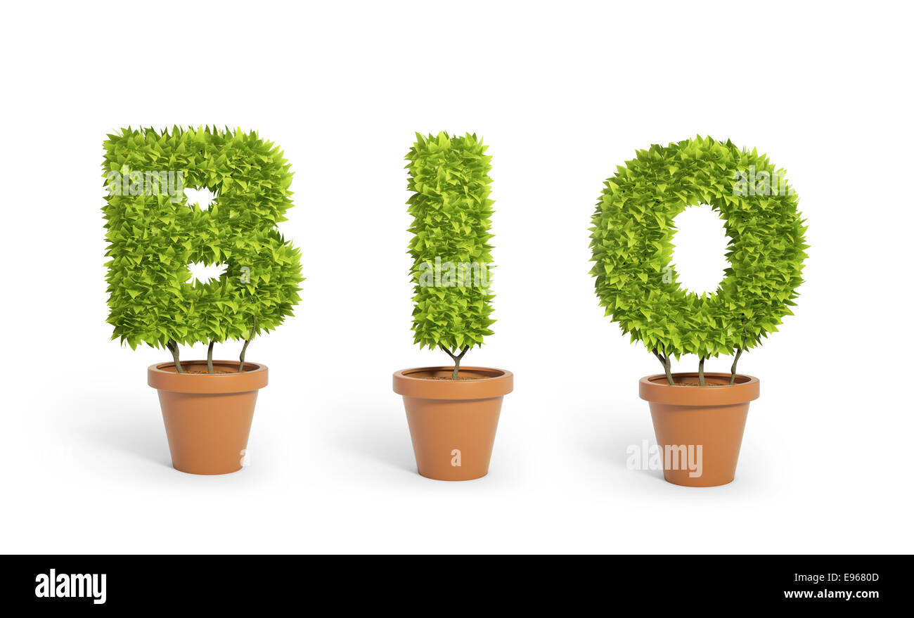 Drei Topfpflanzen bilden das Wort "Bio" Stockfoto
