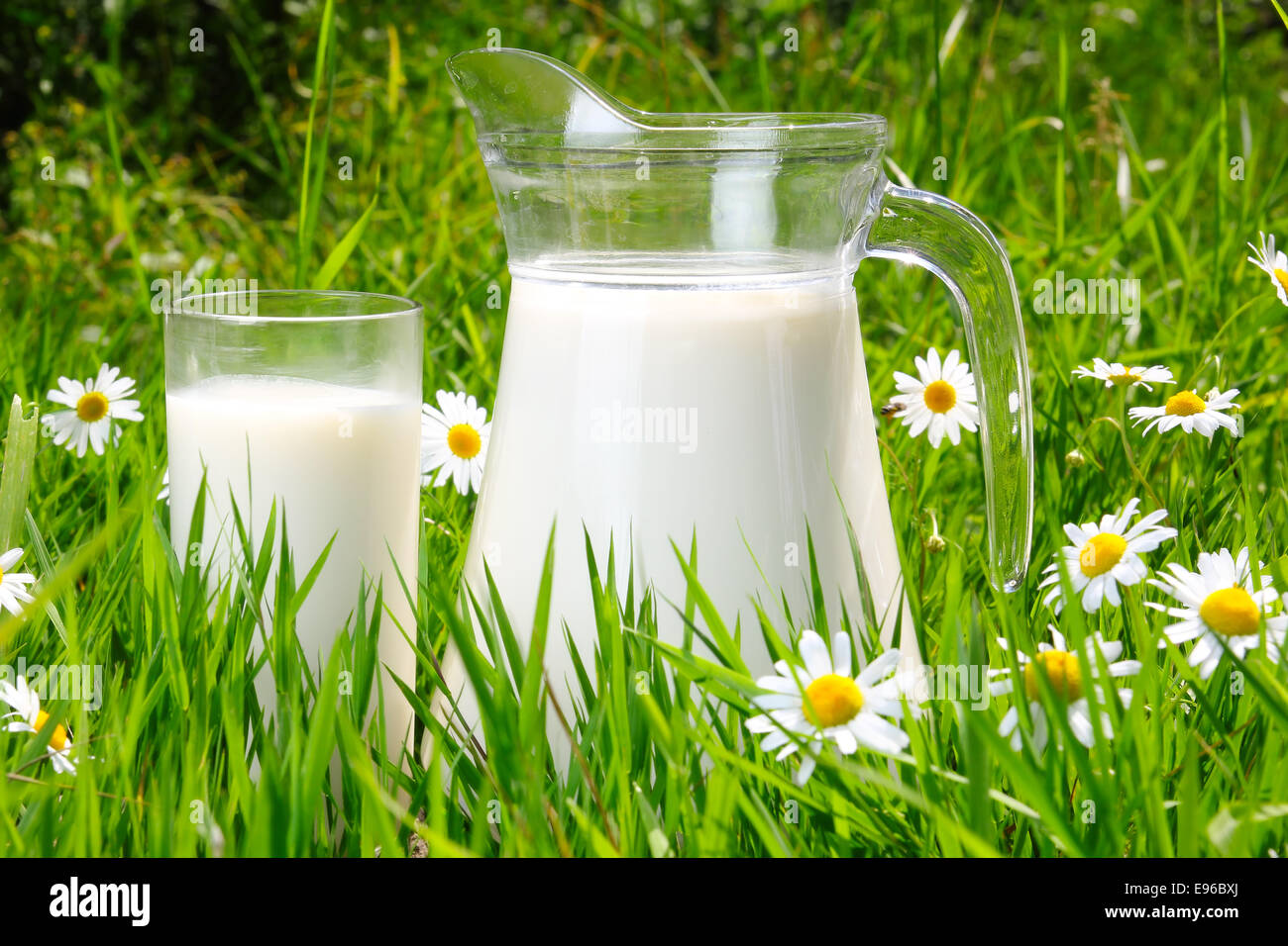 Krug und Glas Milch über grünen Rasen Stockfoto