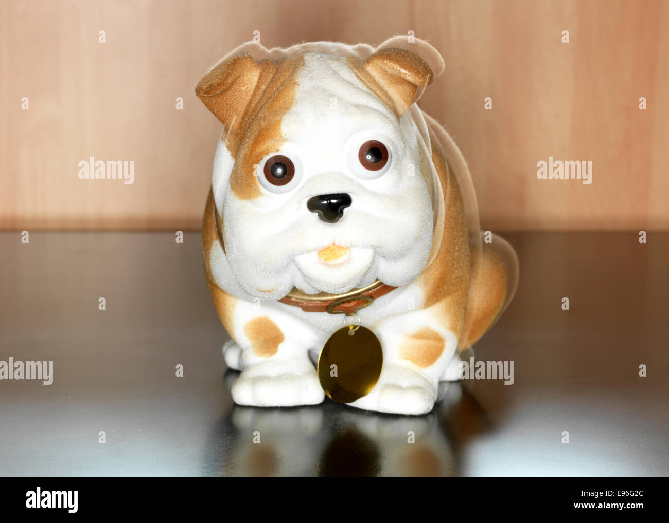 Coole weiße und braune Welpen Stockfoto