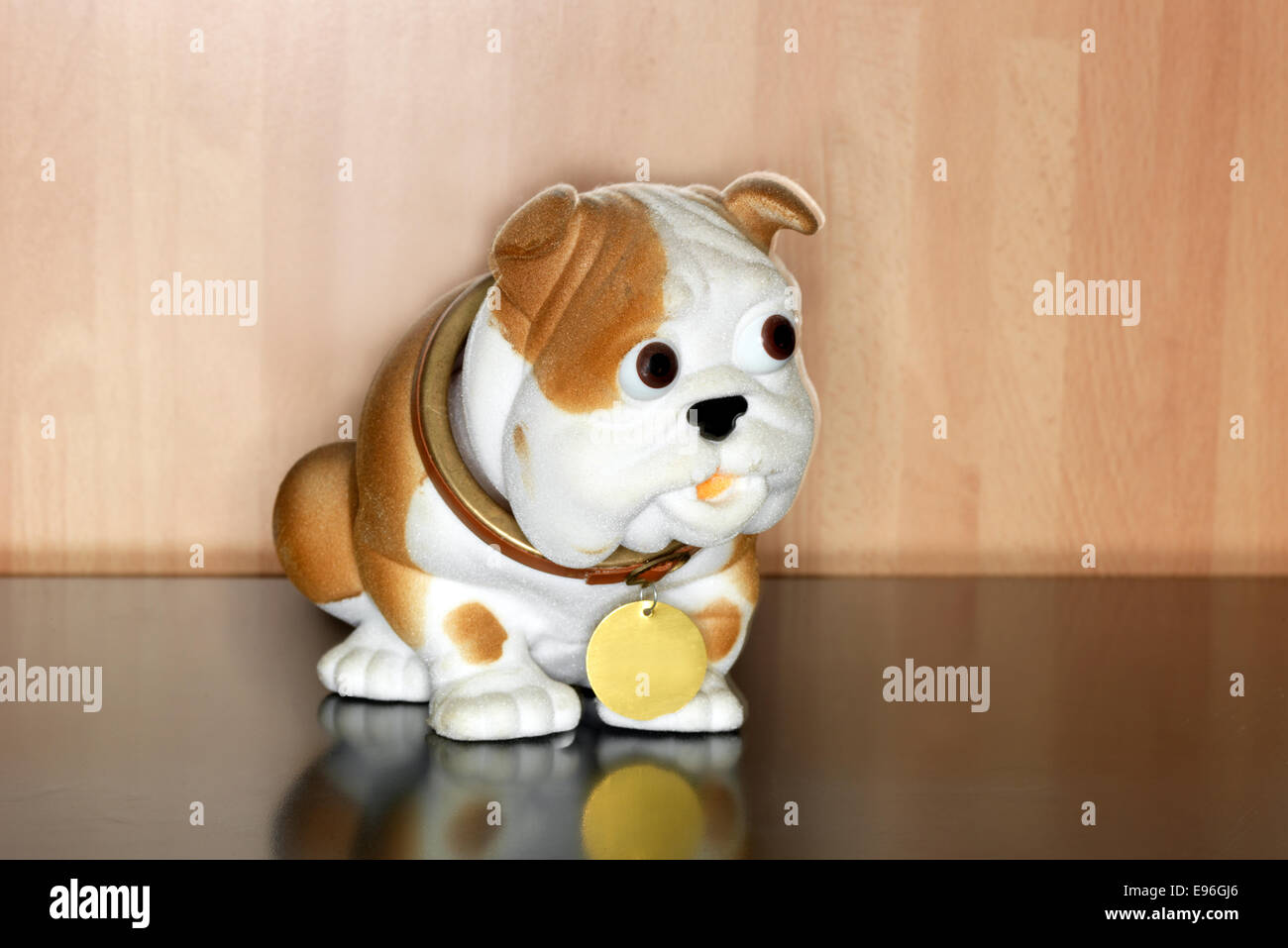 Coole weiße und braune Welpen Stockfoto