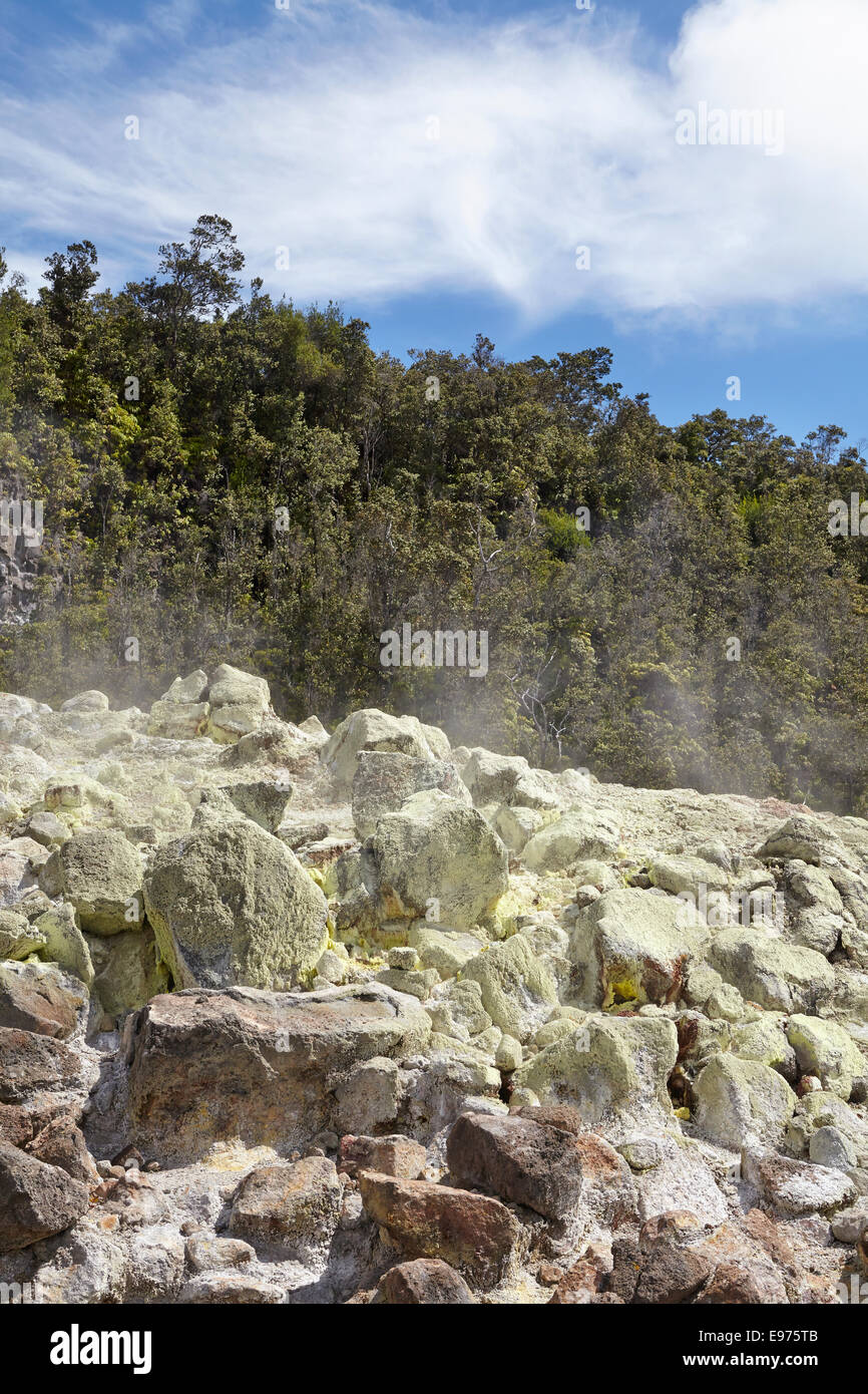 Felsen von schwefelhaltige Gase, Hawaii gelb gemacht Stockfoto