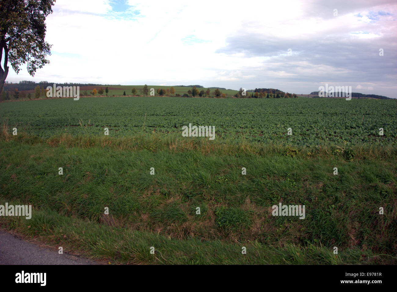 Verschiedene Ansichten des Cernivsko (100 km von Prag auf Zug) – typisch für südliche böhmische Dörfer; hauptsächlich auf die Landwirtschaft Stockfoto