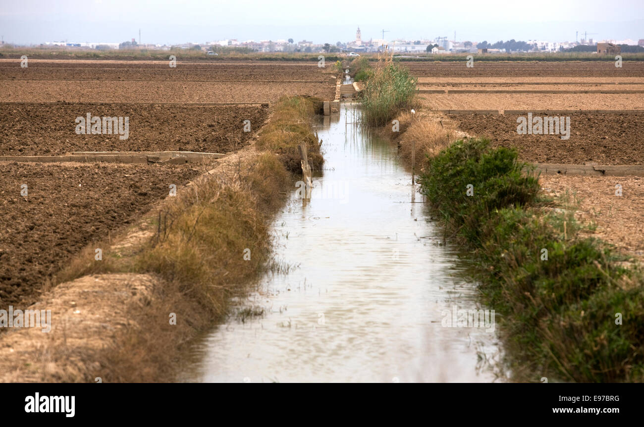 Südlich von Valencia, Albufera, Reisfelder bewässert Stockfoto