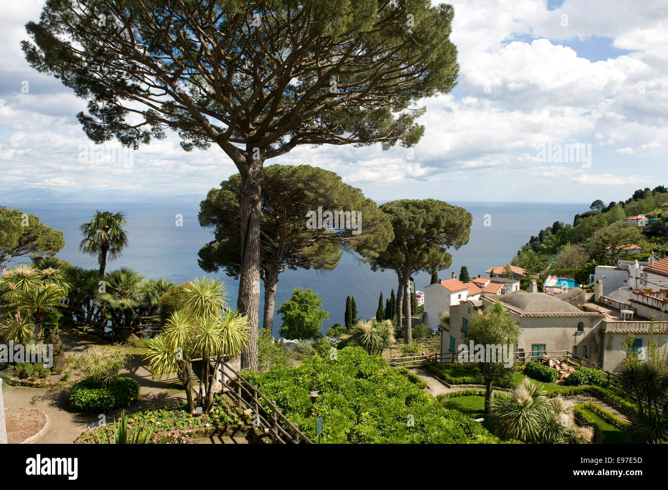 Blick auf die Amalfi-Küste aus den Gärten der Villa Rufolo in Ravello mit einem italienischen Zirbe Stockfoto