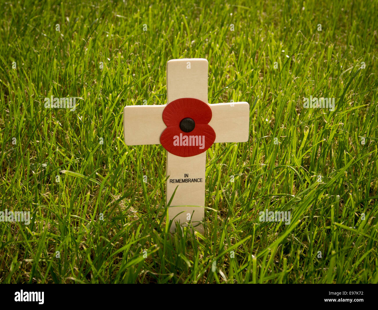 Mohn auf einem Holzkreuz im Gras. Stockfoto