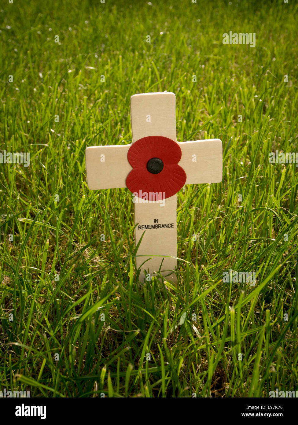 Mohn auf einem Holzkreuz im Gras. Stockfoto