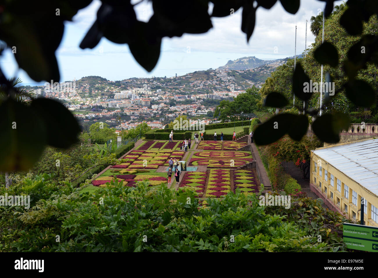 Die "Jardim Botânico" (Botanischer Garten) in Funchal Madeira Stockfoto
