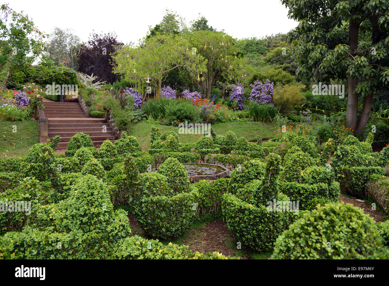 Palheiro Garten, Madeira, oft als Blandy es Garten als es hat der Familie Blandy seit 1885 im Besitz. Stockfoto