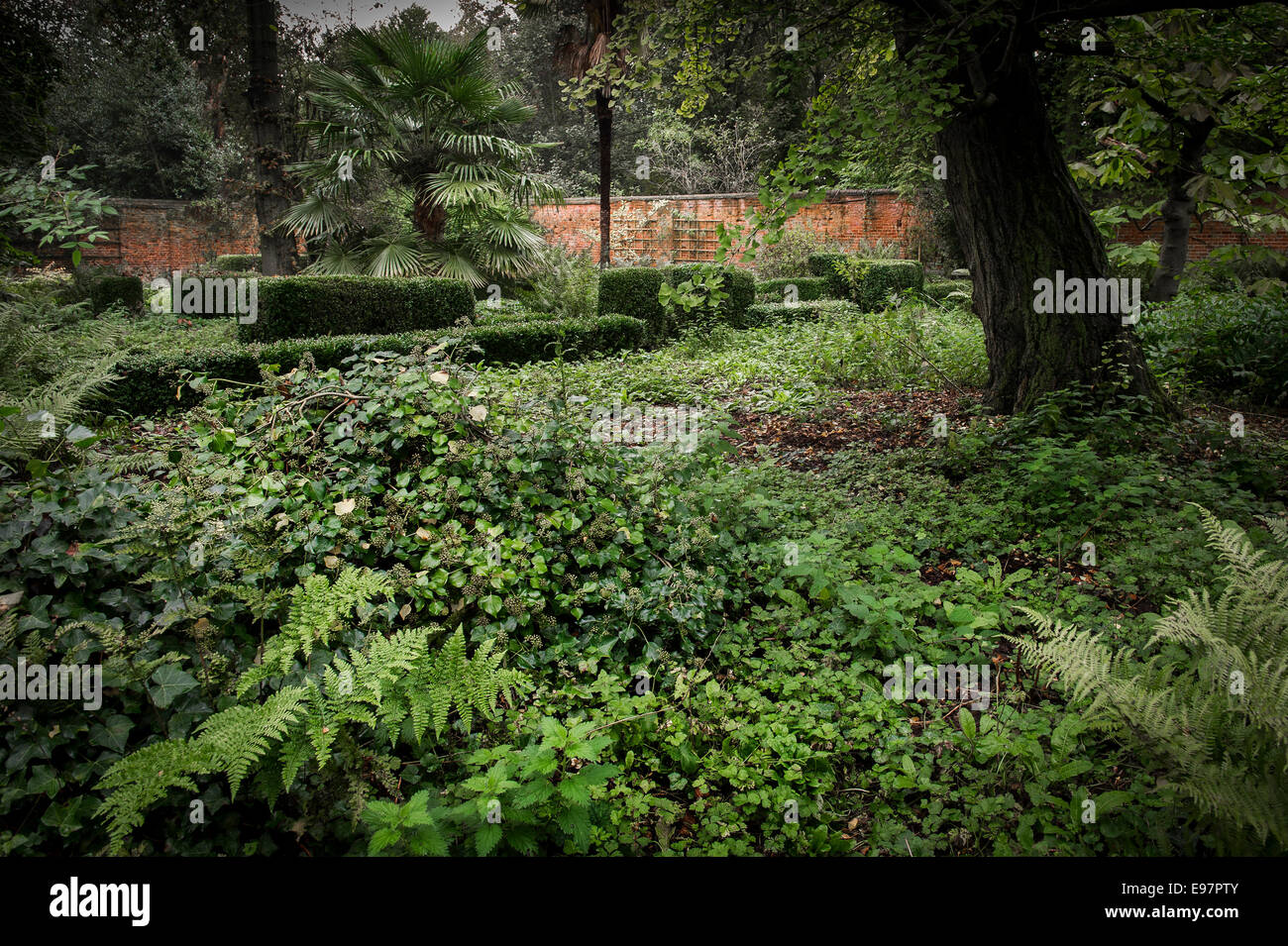 Die überwucherten und ummauerten Garten Warley in Essex. Der Garten des Haus der Gärtner Miss Ellen Wilmott. Stockfoto