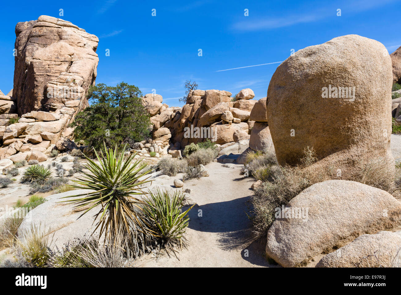 Trail in Hidden Valley, einem ehemaligen Vieh Rustler Versteck, Joshua Tree National Park, San Bernardino County, Kalifornien, USA Stockfoto