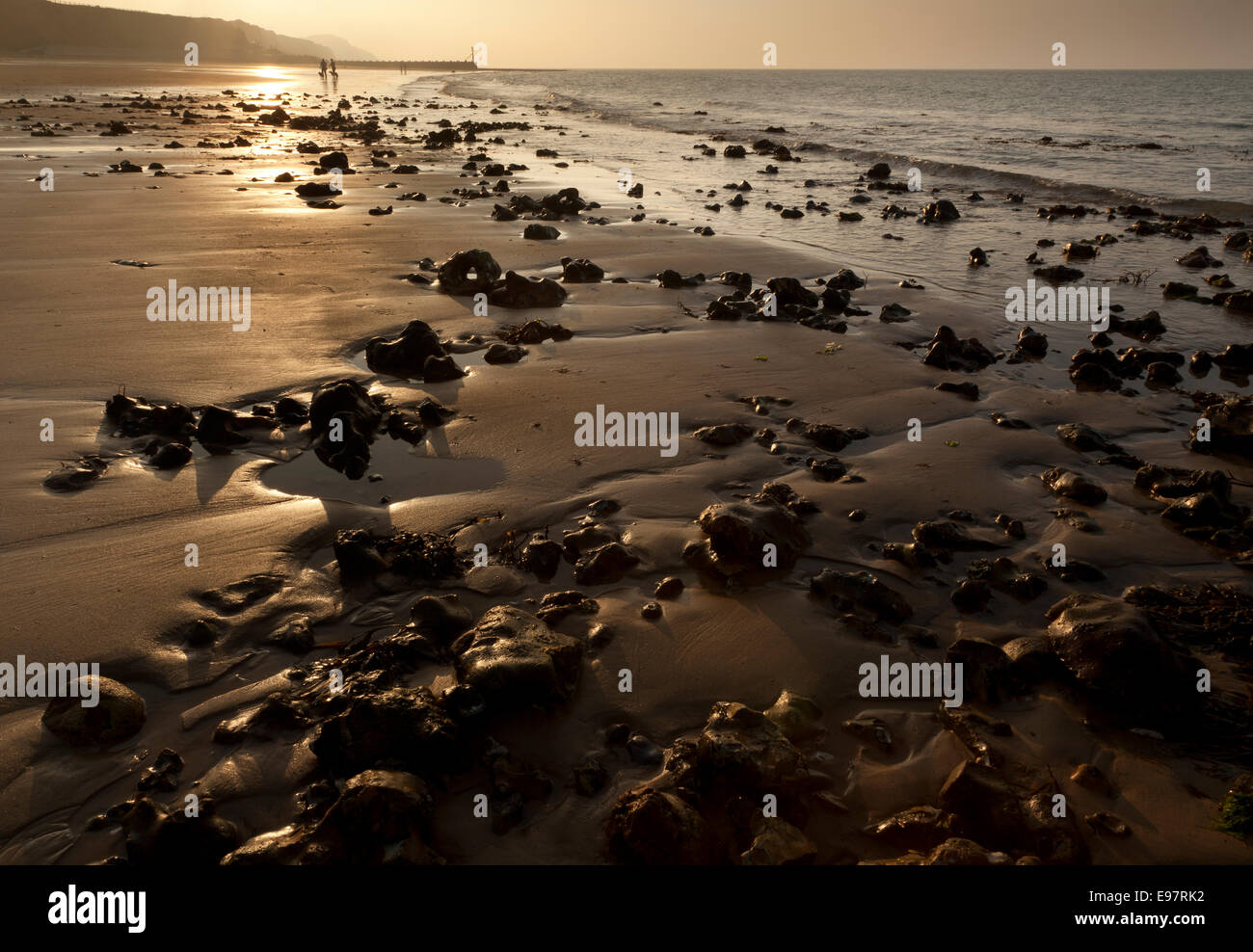 Passanten, die ihre Hunde auf West Runton Strand, Norfolk, England, UK, in den letzten Strahlen der Abendlicht Stockfoto