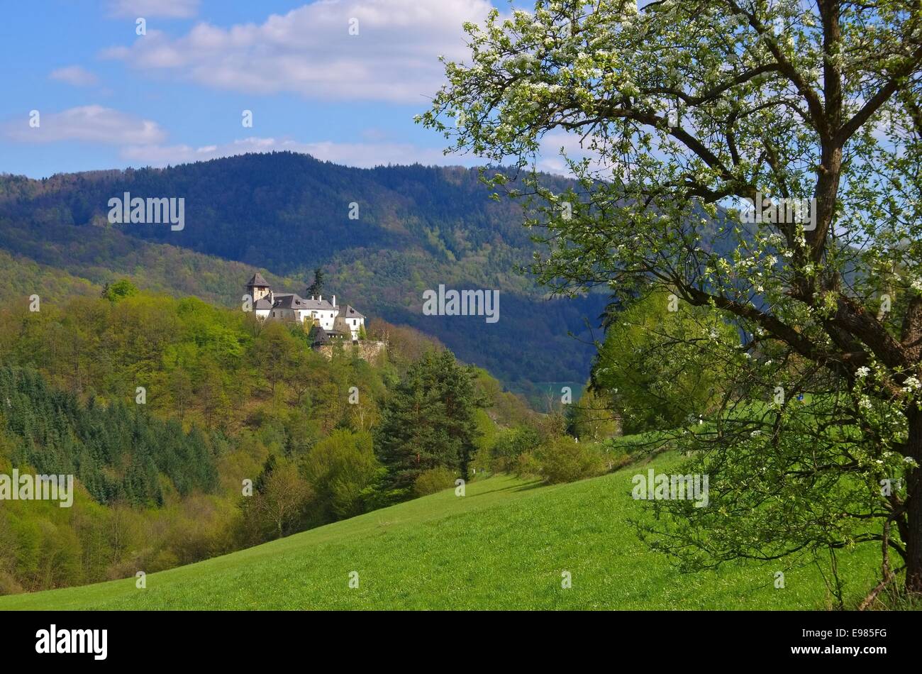 Oberranna Burg - Burg Oberranna 02 Stockfoto