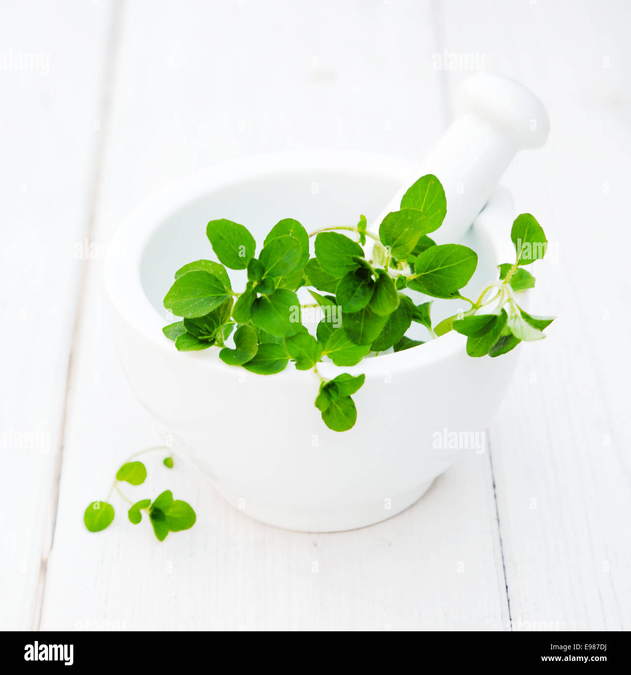 Oregano mit Mörser und Stößel auf einem hölzernen weißen Hintergrund. Stockfoto