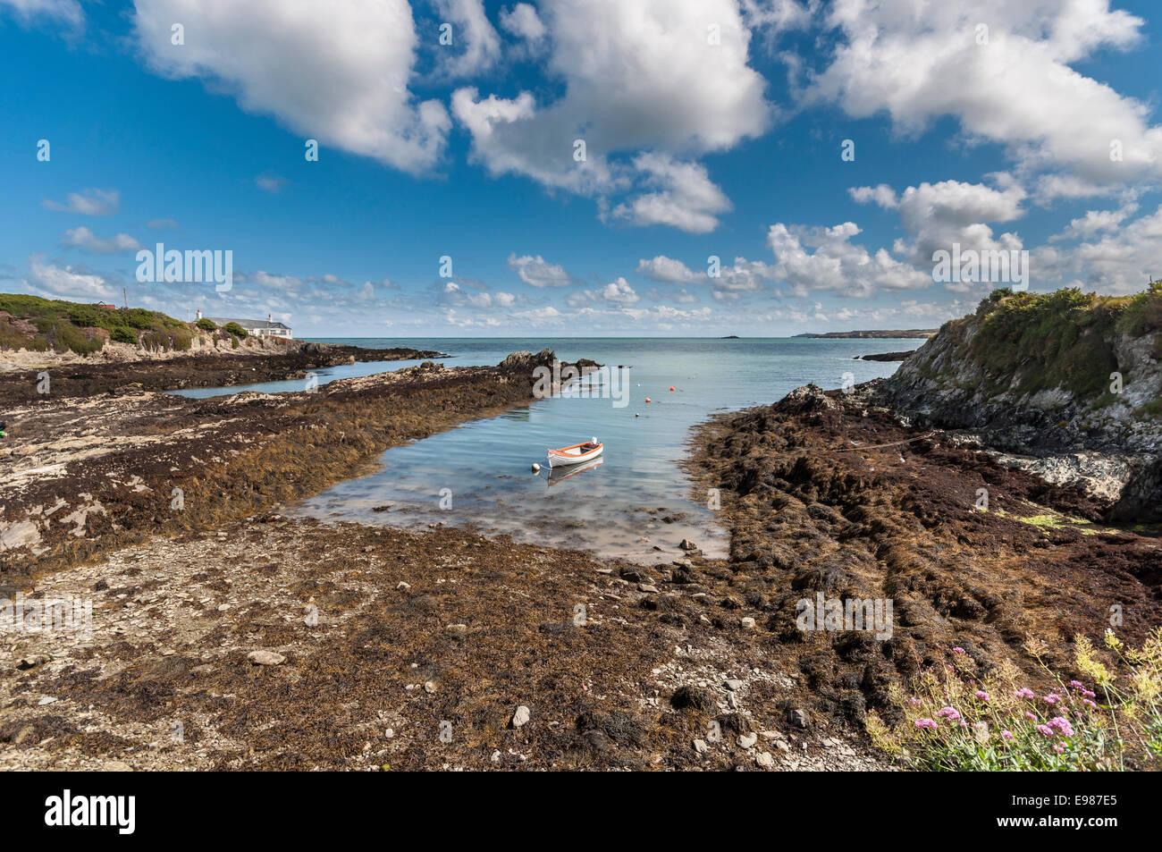 Bull Bay Porth Llechog auf Anglesey Nordwales Stockfoto