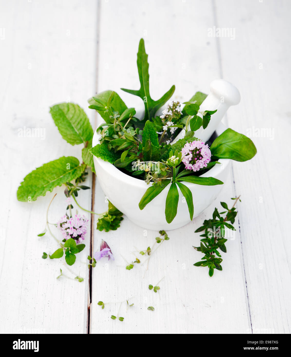 Verschiedene Kräuter in einem Mörser Blüte mit Stößel auf weißem Holz Hintergrund Stockfoto