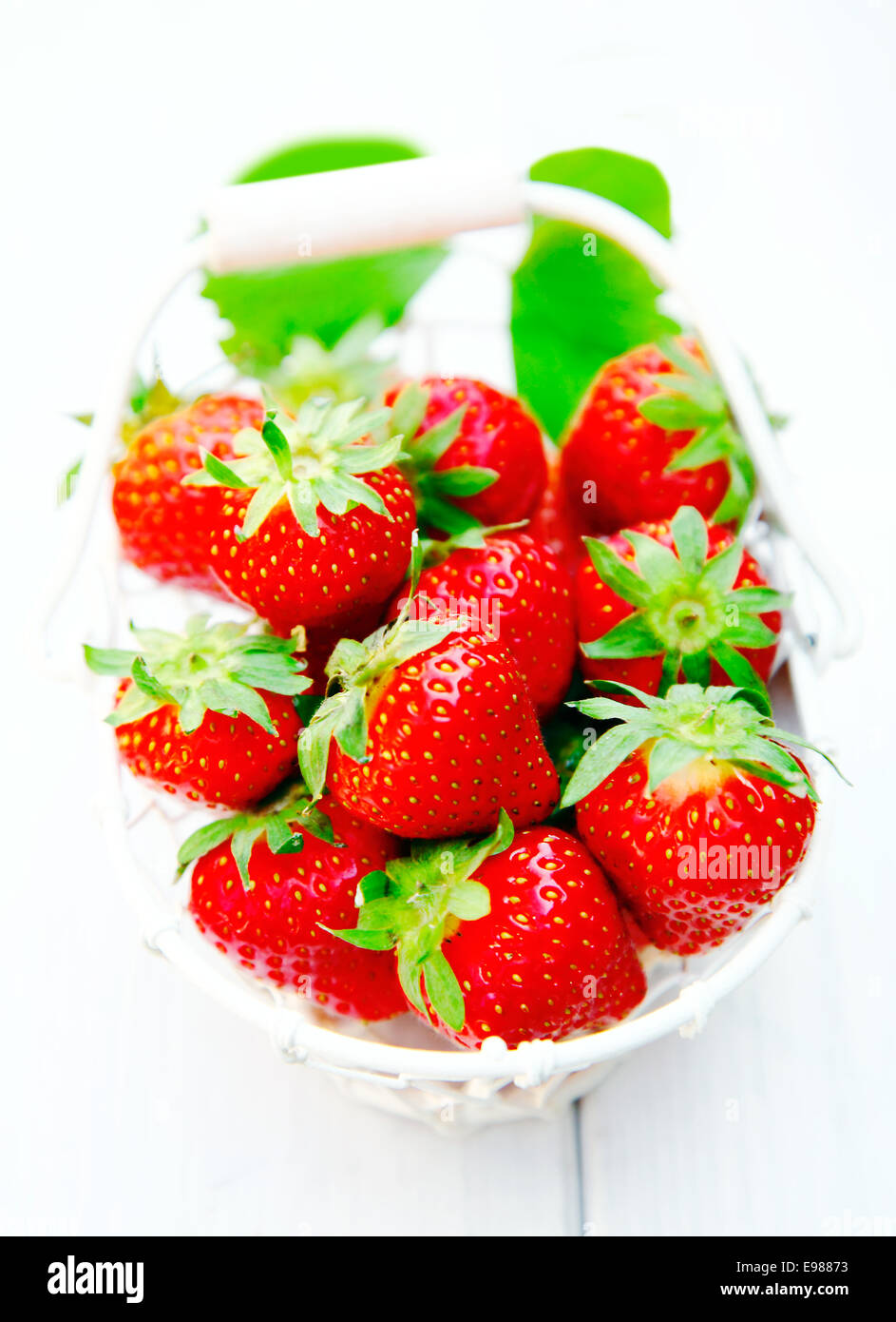 Weißer Korb mit üppigen saftige Reife rote frisch gepflückten Erdbeeren auf einem Holztisch Stockfoto