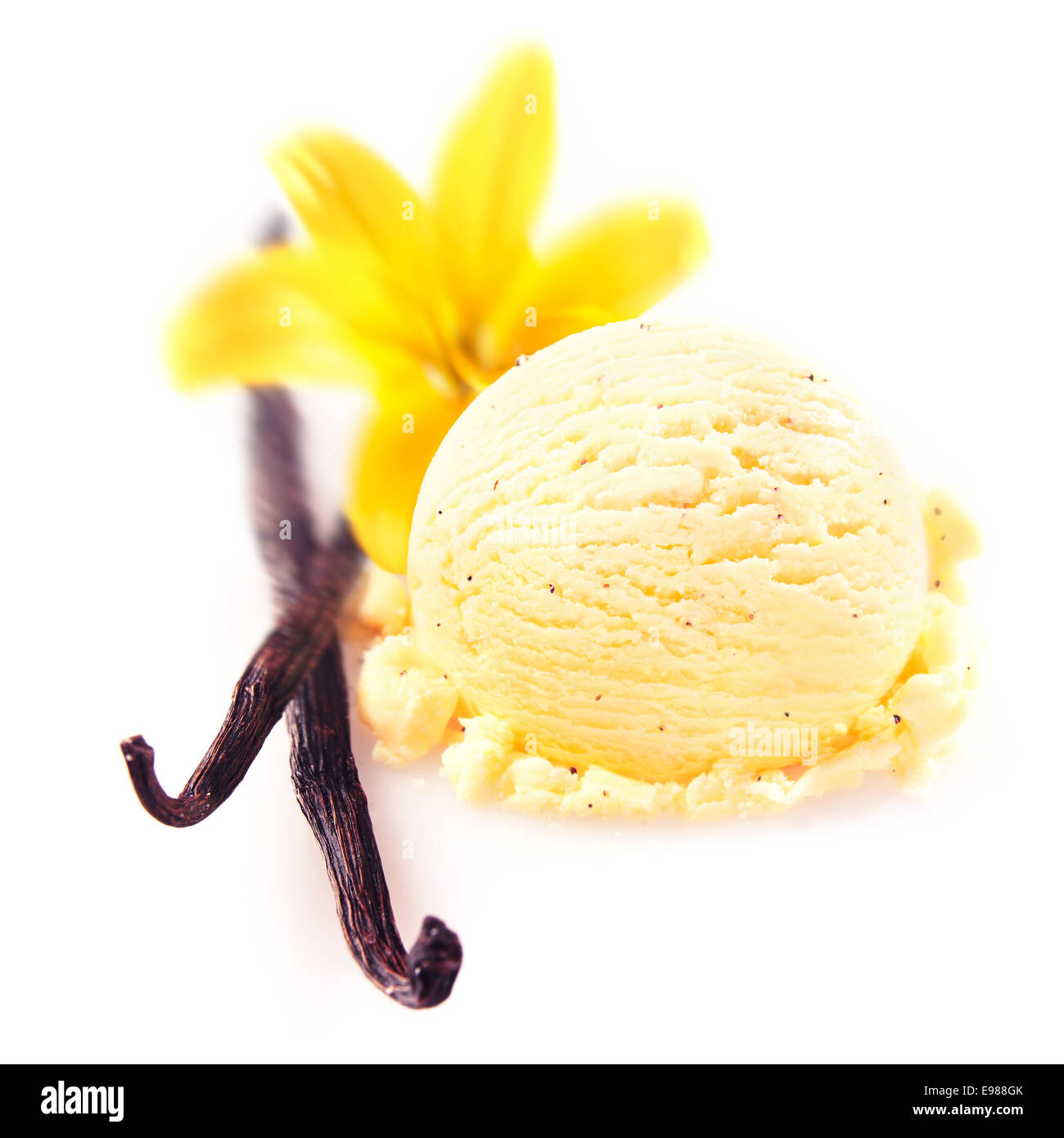 Vanilleschoten und Blume mit einer leckeren Kugel reichen cremige Eis serviert, für ein erfrischendes Sommer-dessert Stockfoto