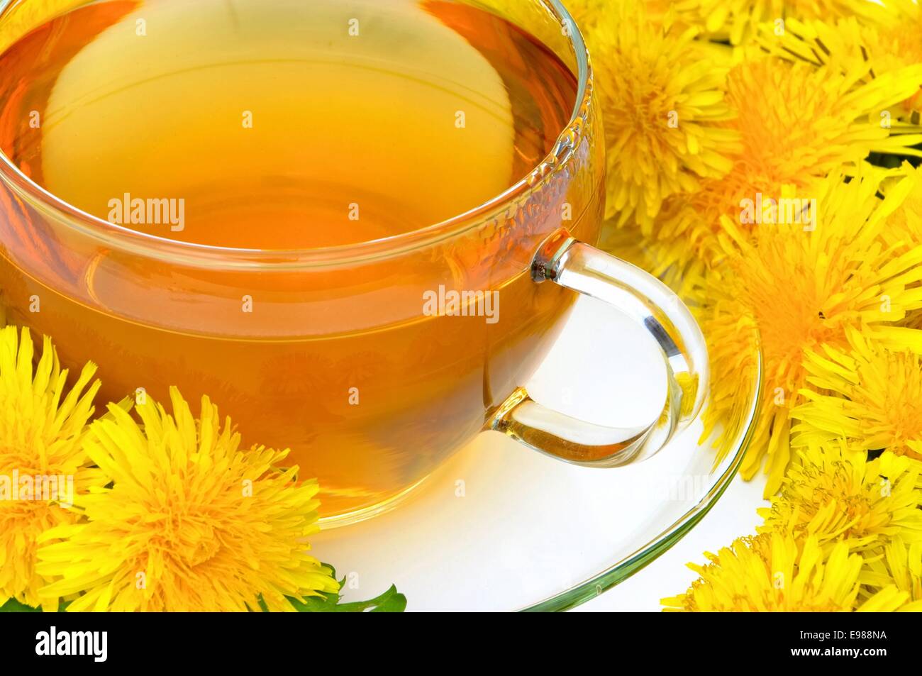 T-Stück-Löwenzahn - Löwenzahn Tee 07 Stockfoto