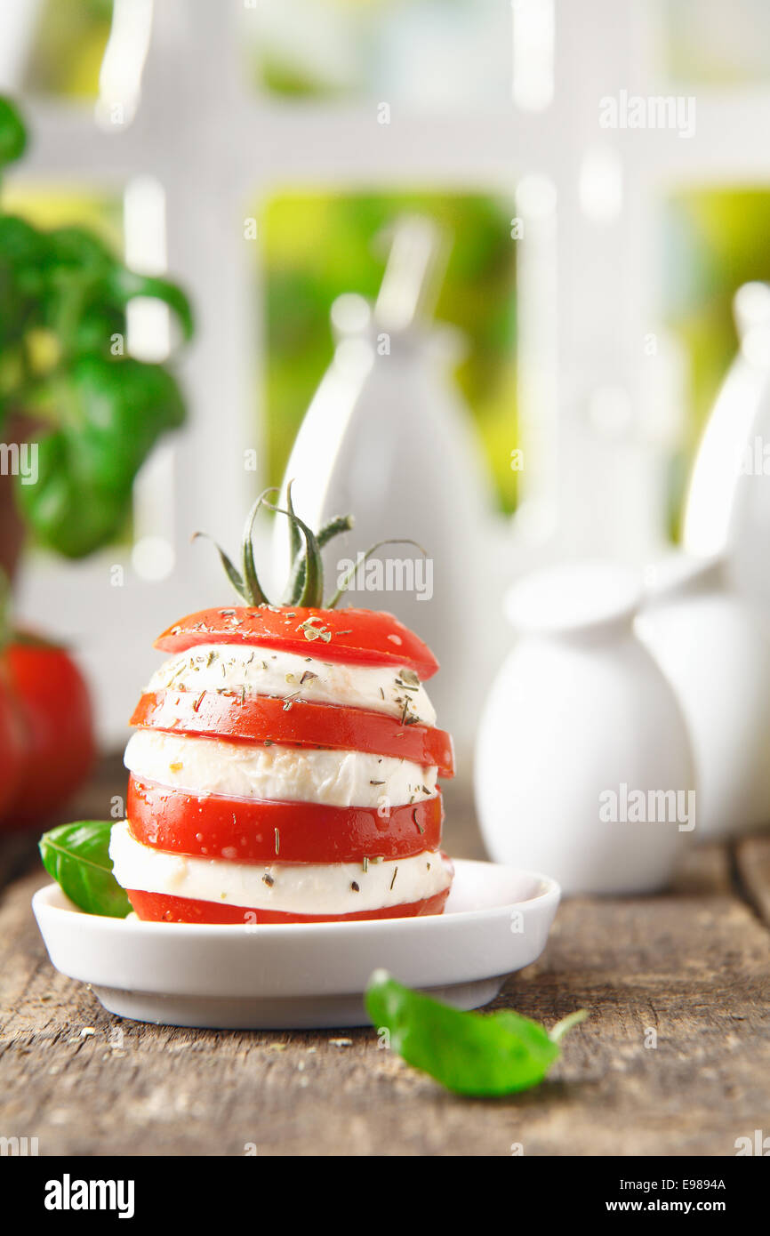 Gesunde Portion abwechselnd Scheiben Käse und Reife rote Tomaten in eine individuelle Gourmet-Salat mit Exemplar Stockfoto