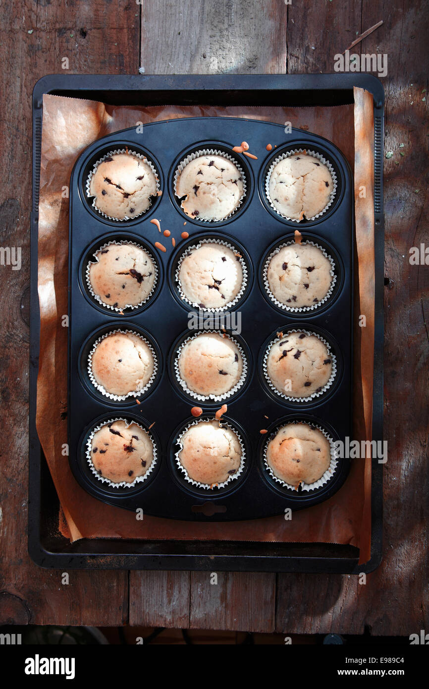 Draufsicht auf ein Backblech mit frisch gebackenen Muffins aus dem Ofen nehmen, abkühlen auf eine alte hölzerne Oberfläche Stockfoto