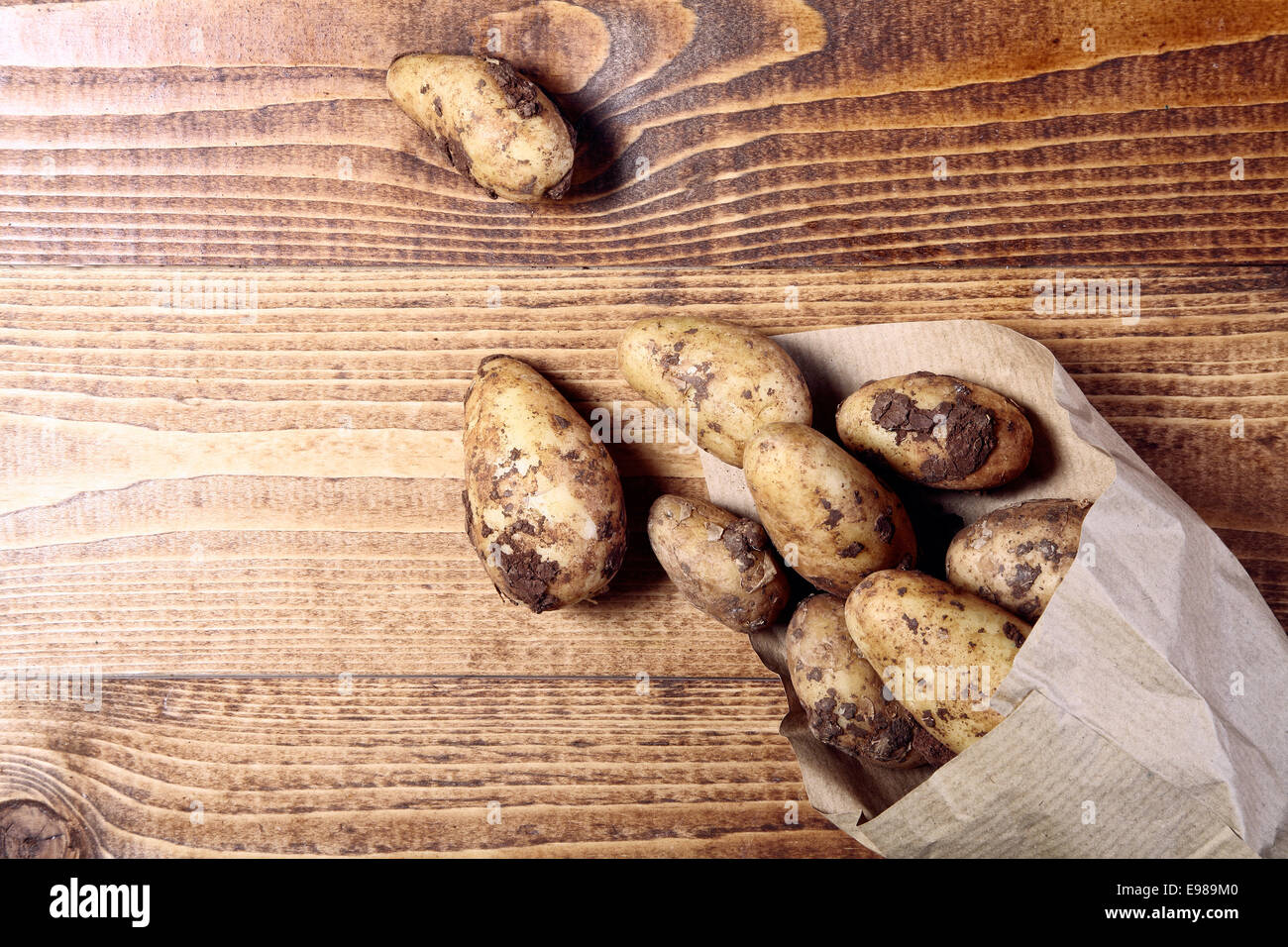 Nur nahm Reife natürliche Kartoffeln auf einem Holztisch, hoher Winkel Stockfoto