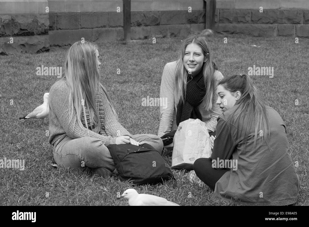 Junge Frauen Freunde sitzen In einem Park Stockfoto