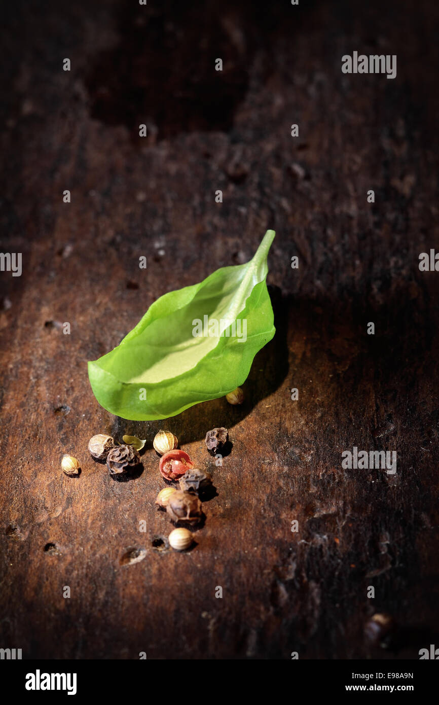 Einzelne frische Blätter Basilikum mit verstreuten Pfefferkörner hervorgehoben auf einer Holzfläche mit Textfreiraum Stockfoto