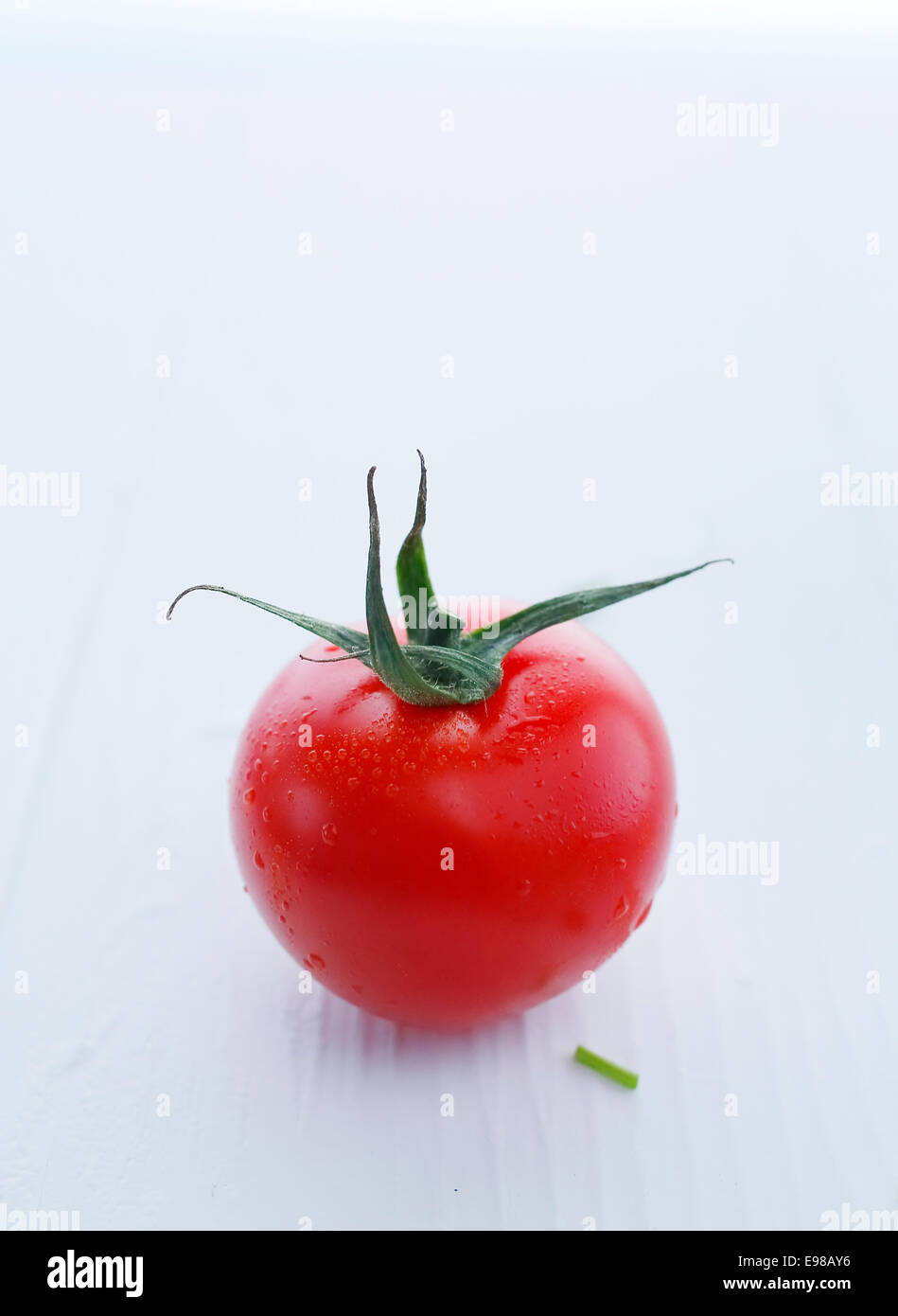 Wunderschöne rote Tomate mit Stiel, geringe Schärfentiefe gegen White erschossen. Stockfoto
