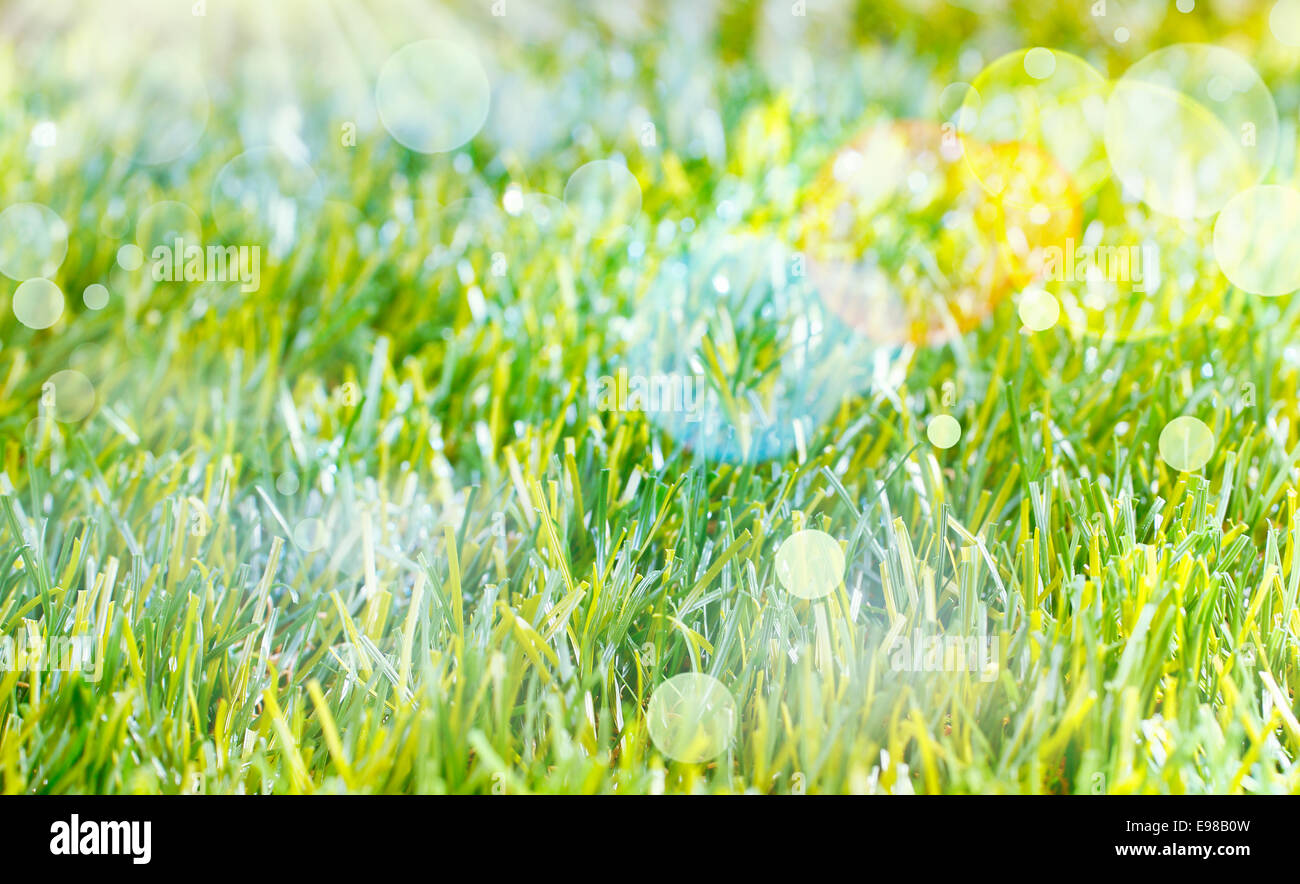 Ethereal Frühling Hintergrund mit Blendenfleck und Bokeh über saftig grünen Rasen Stockfoto