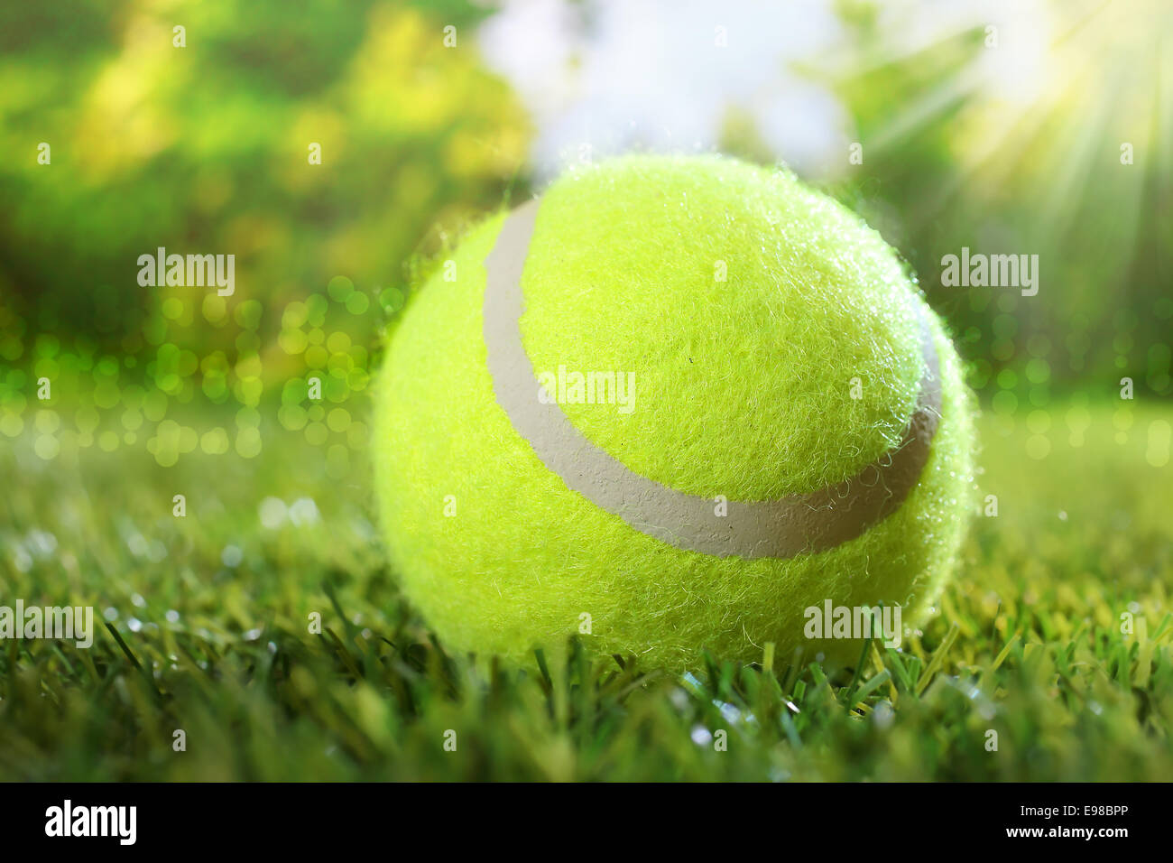 Tennisball auf dem grünen Rasen unter den heißen Strahlen der Sommersonne konzeptionelle Freiheit und Freude an einem sportlichen gesund im freien Stockfoto