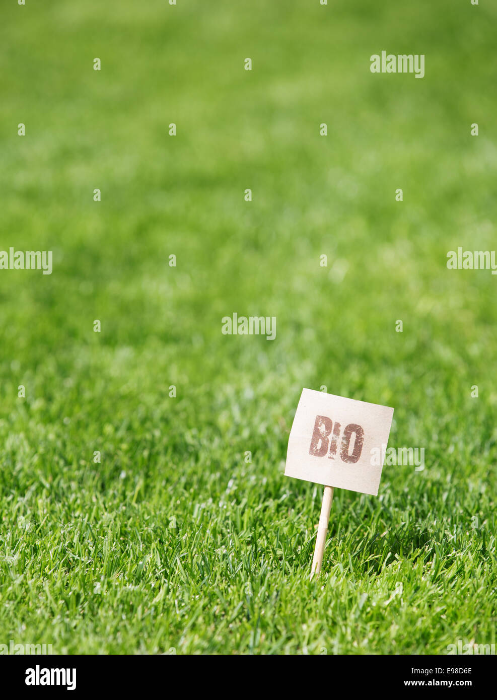 Botanischen Hintergrund frischem grünen Gras mit einem Bio-Siegel in der rechten unteren Ecke und flachen Dof mit Exemplar Stockfoto