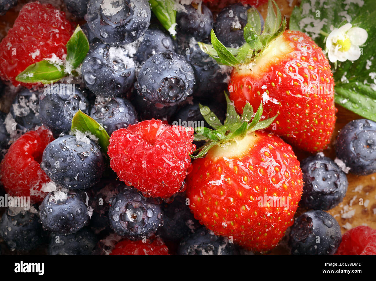 Berry-Hintergrund mit Wassertropfen auf frische reife rote Erdbeeren, Himbeeren und Heidelbeeren, Nahaufnahme Stockfoto