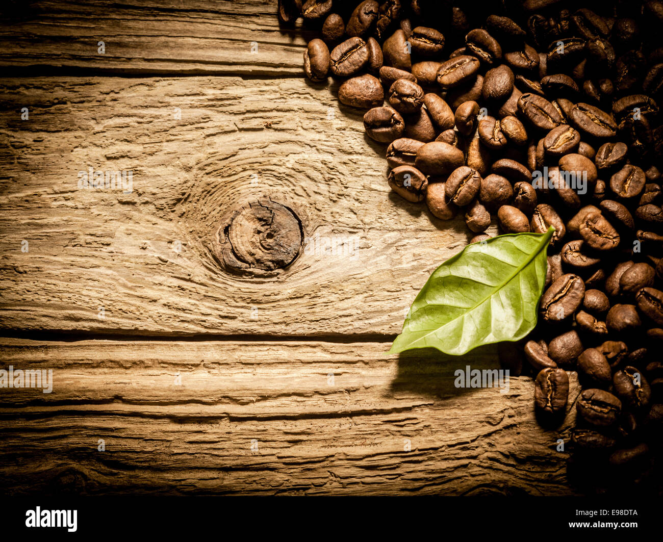 Draufsicht auf einen Haufen von frisch gebratenen Kaffeebohnen auf verwitterten knorrigen Treibholz Bohlen mit frischen grünen Kaffee Blatt, Vignettierung und Exemplar Stockfoto