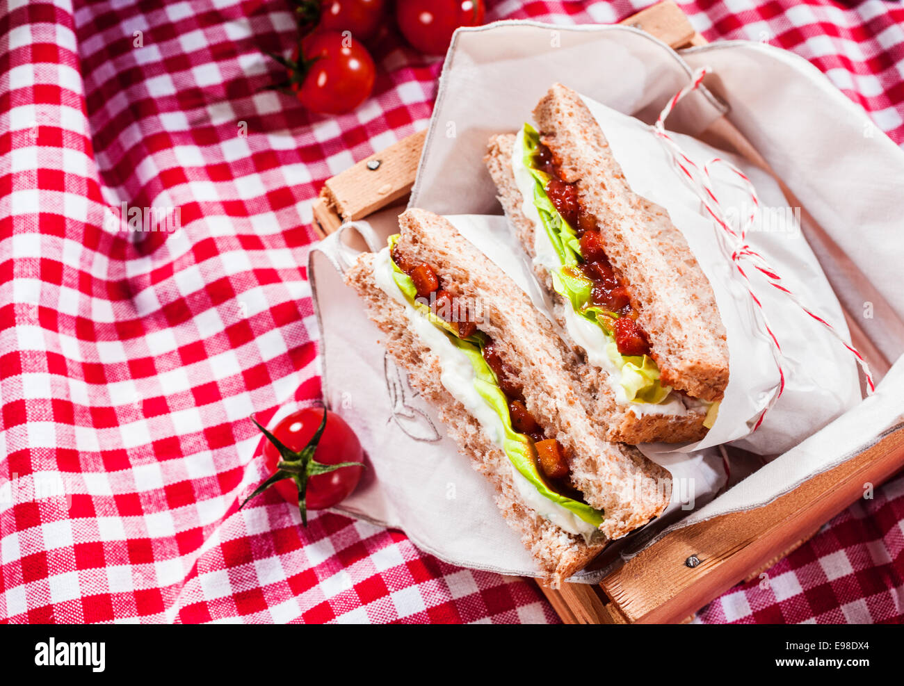 Leckeren herzhaften Salat Sandwiches serviert auf einem roten und weißen aufgegebenes Tischdecke für eine gesunde Natur-Sommer-Picknick mit Exemplar Stockfoto