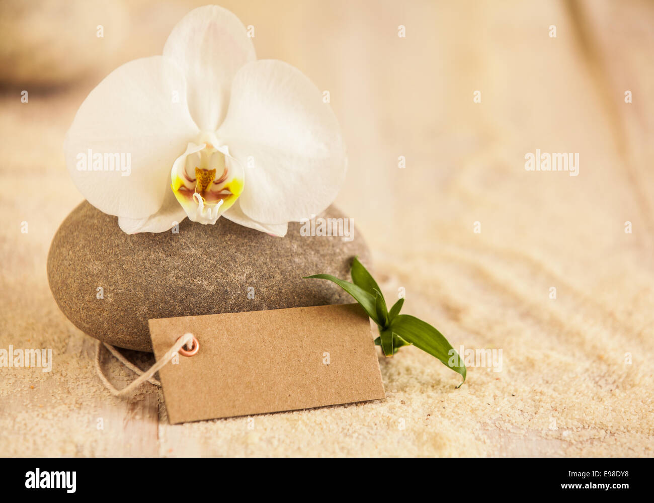 Schönes Spa-Stillleben mit eine reine weiße frische Phalaenopsis Orchidee auf einem Massagestein mit einem leeren braunen Geschenkanhänger und goldenen Meeressand Darstellung Behandlungen, verwöhnen, Wellness und beauty Stockfoto