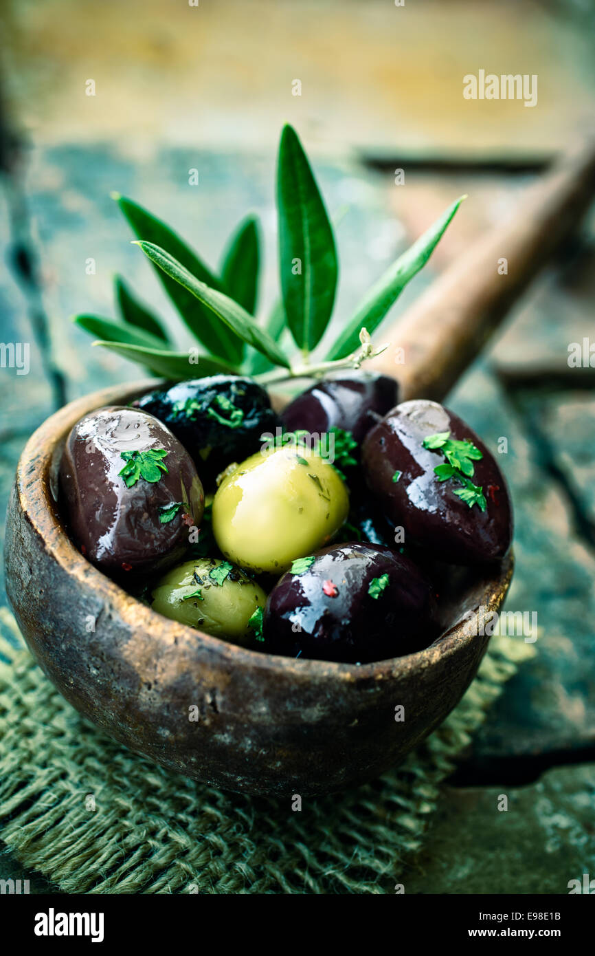 Alte hölzerne Schöpfkelle oder großen Löffel gefüllt mit erfahrenen schwarze und grüne Oliven, dekoriert mit einem Olivenbaum Zweig Stockfoto