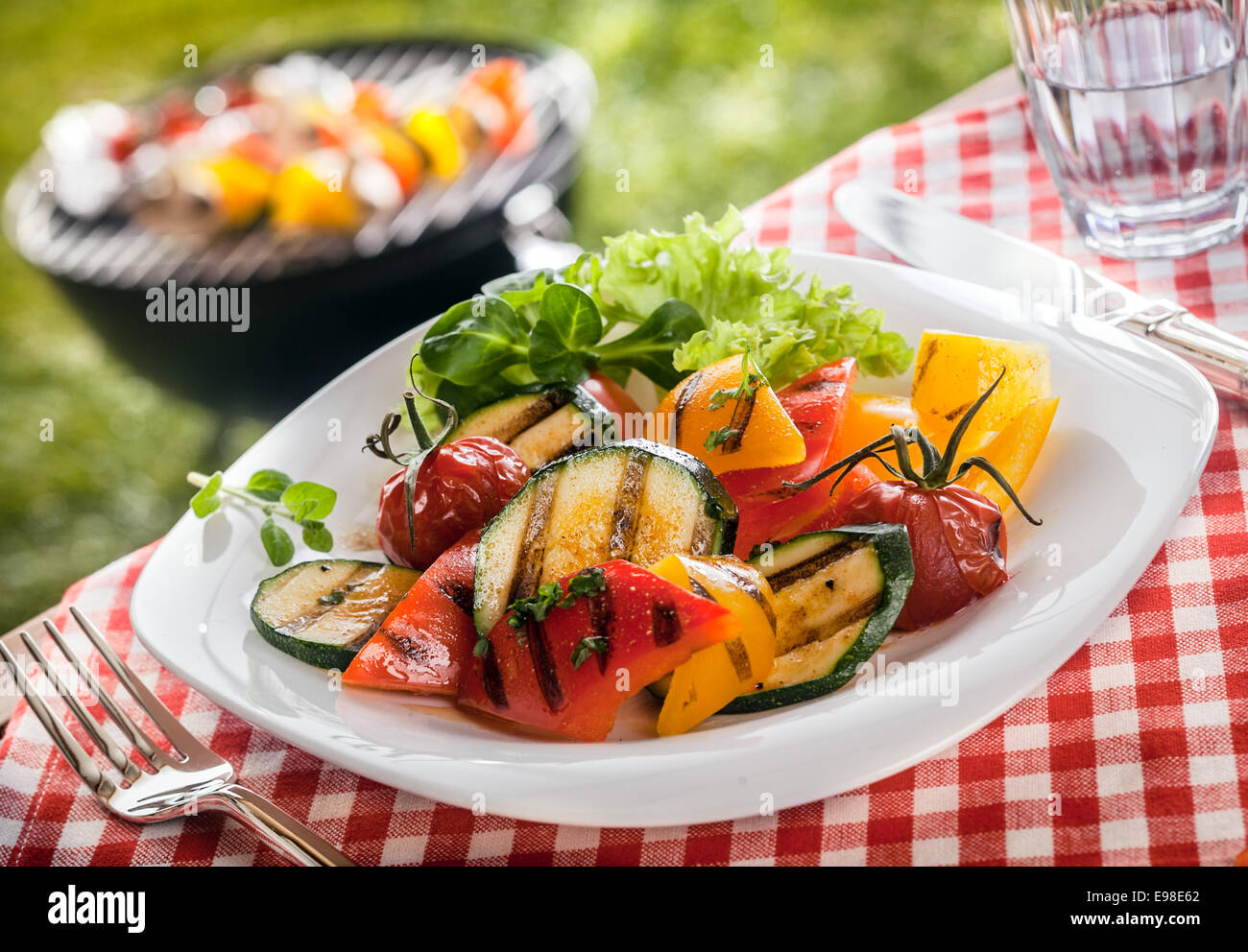 Ausschank von saftig gebratenes vegetarisch, frisches Gemüse mit Paprika, überprüft Knochenmark, Tomaten und Kräuter auf einem Gartentisch bei einem BBQ mit einem roten und weißen Tischdecke. Stockfoto