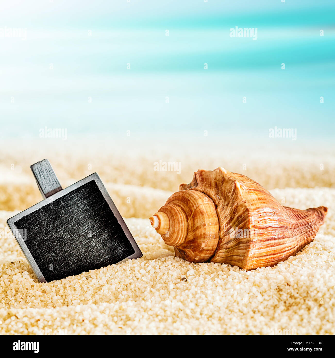Kleinen Oldtimer blanko schwarz Schiefer halb vergraben im Sand mit einer Muschel auf einem sonnigen tropischen Strand, Nahaufnahme im quadratischen format Stockfoto