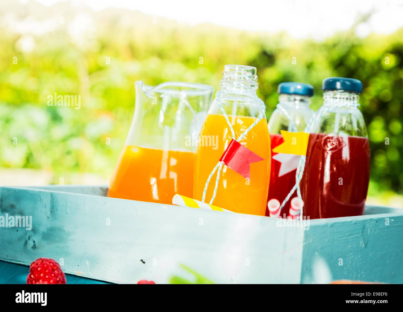 Hausgemachte frische Fruchtsäfte für ein Sommerpicknick mit Flaschen und einen Krug orange und gemischte Beerensaft serviert in einem sonnigen, grünen Garten auf einem Holztablett Stockfoto