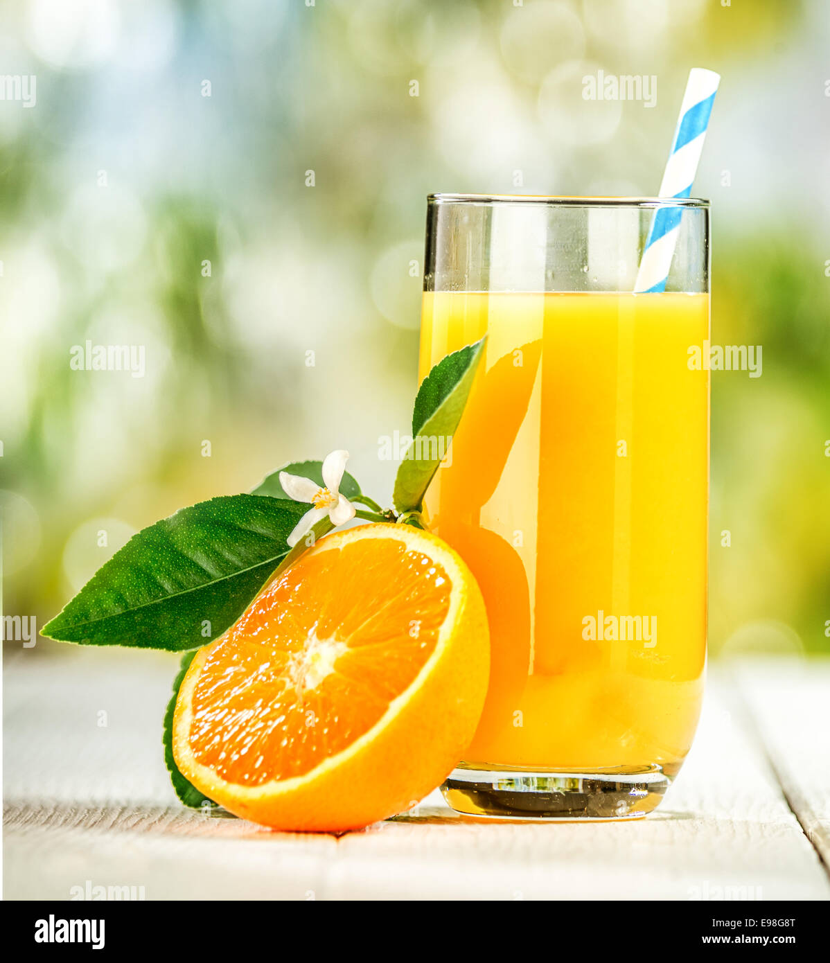 Frischer Orangensaft - Rezepte Suchen