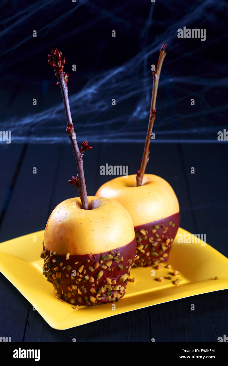 Festliche Halloween-Apfel-Dessert mit zwei frischen goldenen Äpfeln eingetaucht in Schokolade und Streusel mit Zweigen geschmückt in Spinnweben auf einem gelben Teller serviert Stockfoto