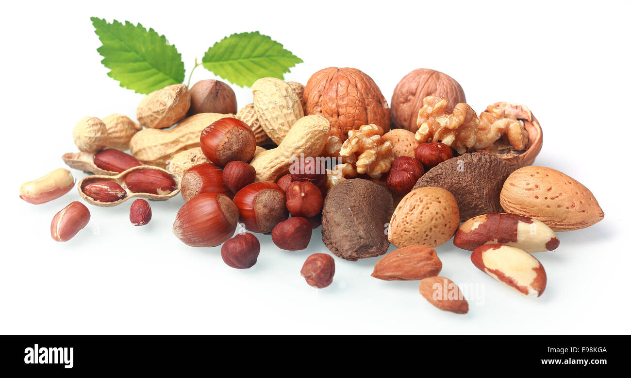 Auswahl an frischen Nüssen in der Schale und Schale arrangiert in einem Stapel auf einen weißen Hintergrund mit grünen Blättern wie Mandeln, Haselnüsse, Paranüsse, Erdnüsse und Walnüsse Stockfoto