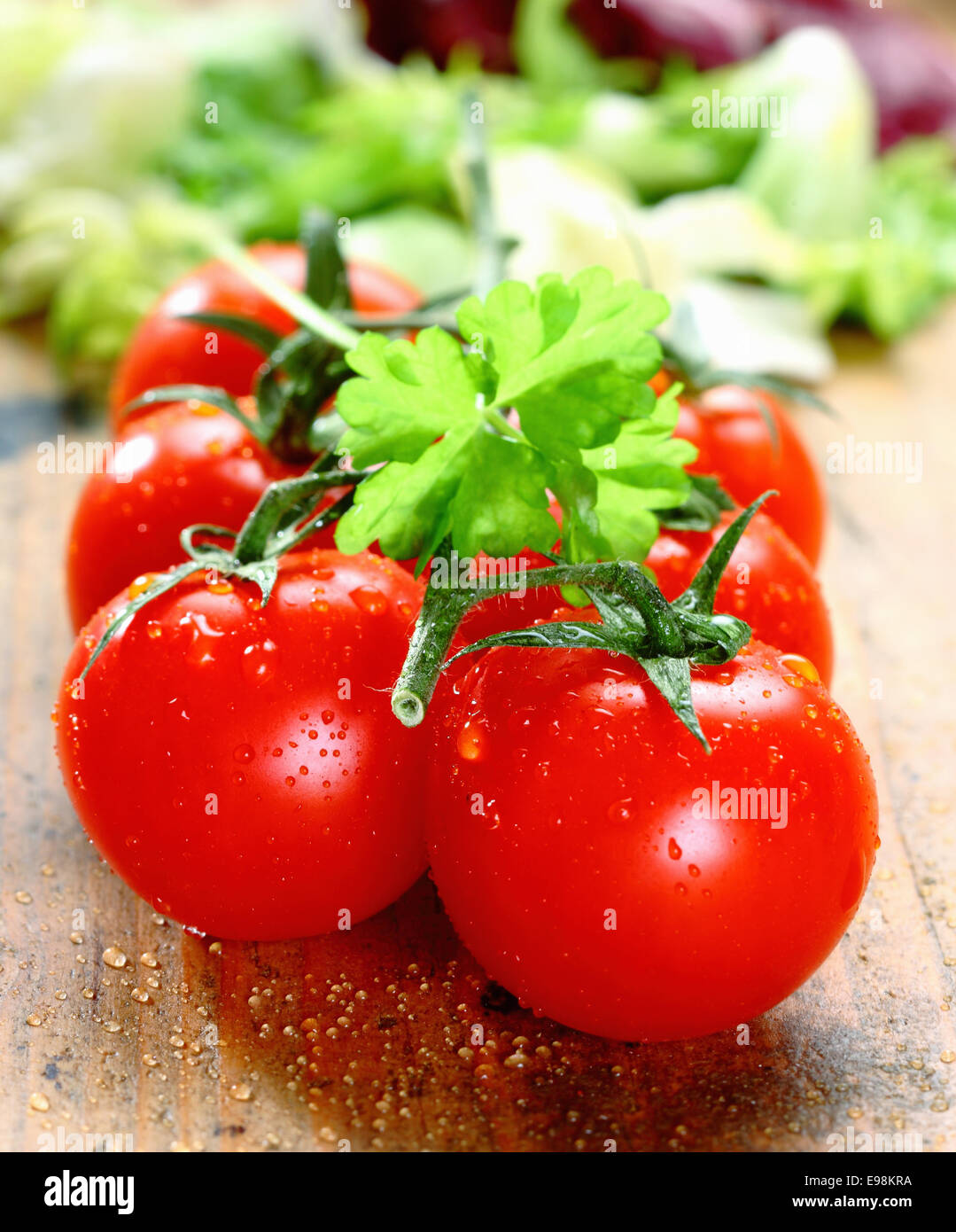Handvoll frische rote, reife Tomaten mit Wassertropfen auf urigen Holzbrettern. Stockfoto