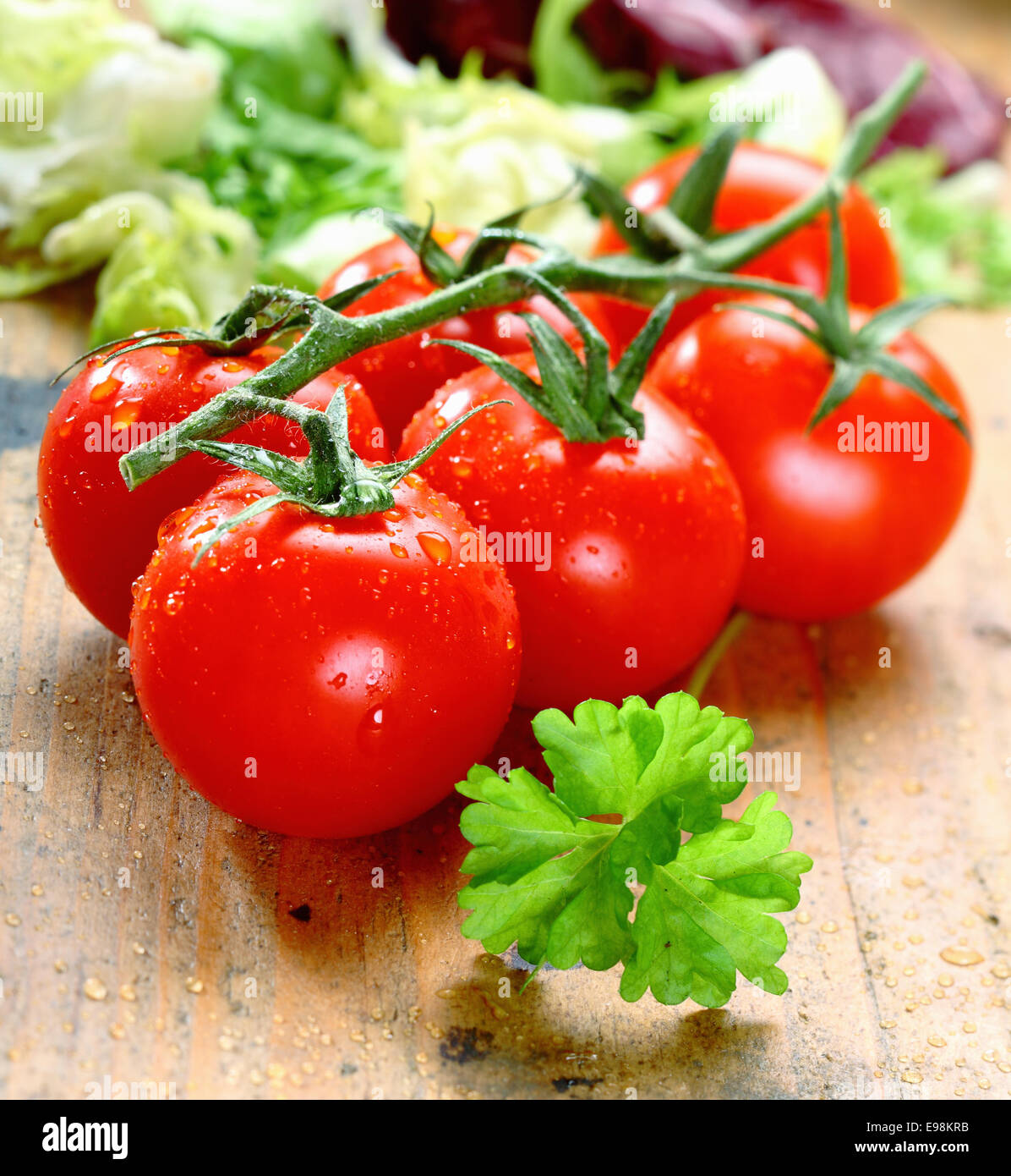 Handvoll frische rote, reife Tomaten mit Wassertropfen auf urigen Holzbrettern. Stockfoto