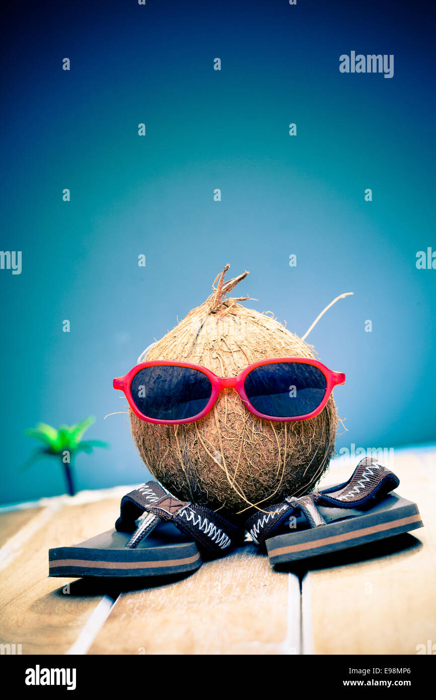 Humorvolle Bild einer Kokosnuss Gent Sightseeing in seine trendige rote Sonnenbrille auf seinen Sommerurlaub in den Tropen Stockfoto