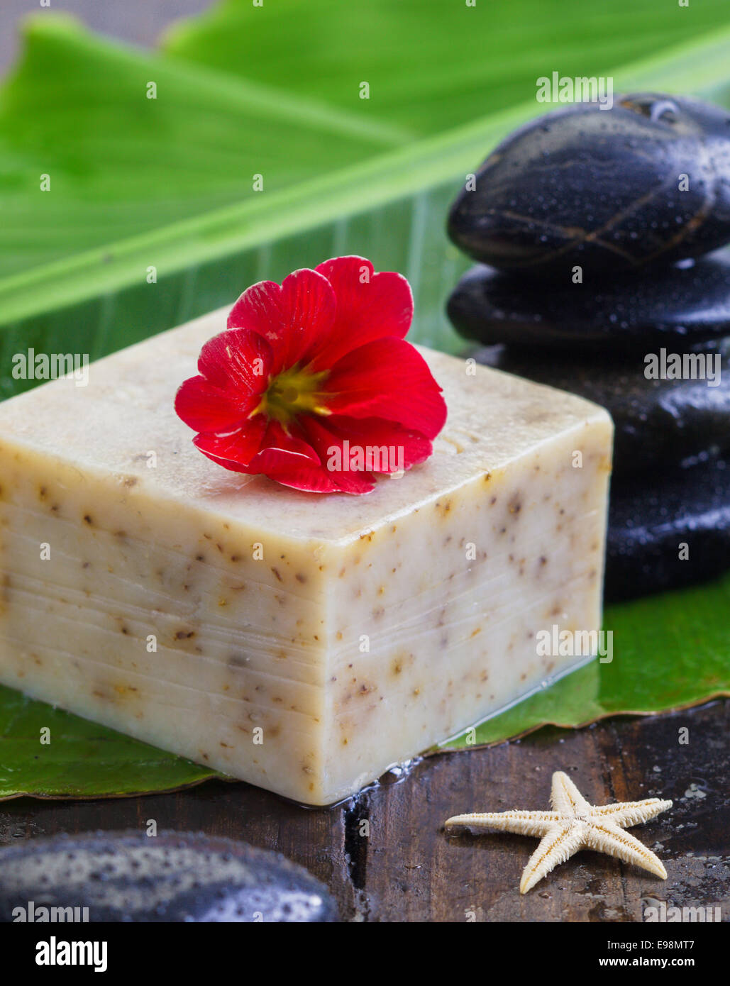 Ein Stück natürlichen Haferflocken Seife gekrönt mit einer Blume neben Steinen Massage Wellness, Körperpflege und persönliche Hygiene-Konzept Stockfoto