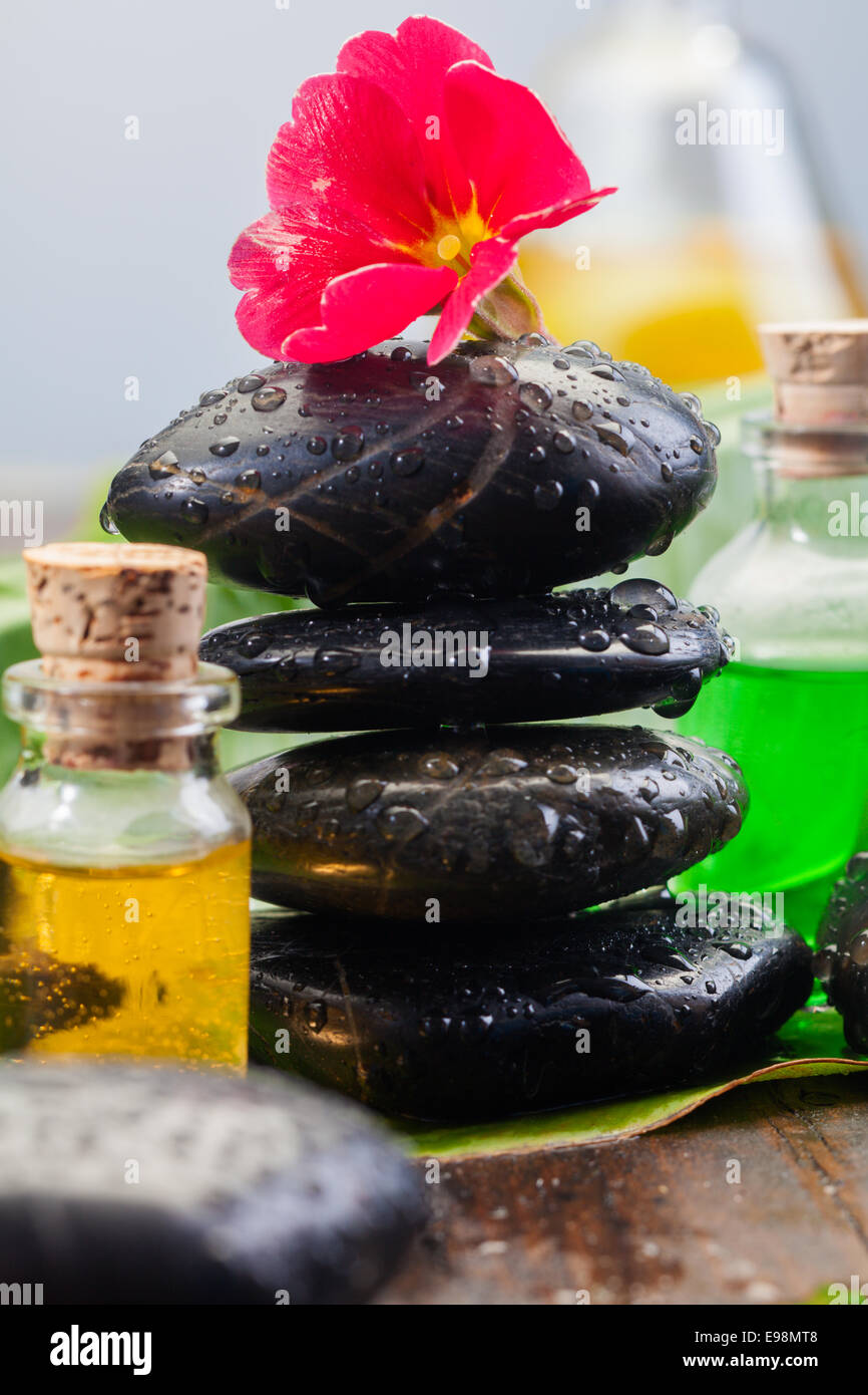 Balancieren schwarzen Massage Steinen in einer Spa-Umgebung mit Flaschen von Aromatherapie ätherische Öle und eine rote Blume Stockfoto